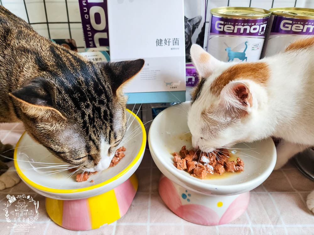 紐促康Nuforcare健好菌｜複合性益生菌的毛孩腸胃保健!由專業獸醫師、營養師共同研發，還經SGS認證、100%台灣製造