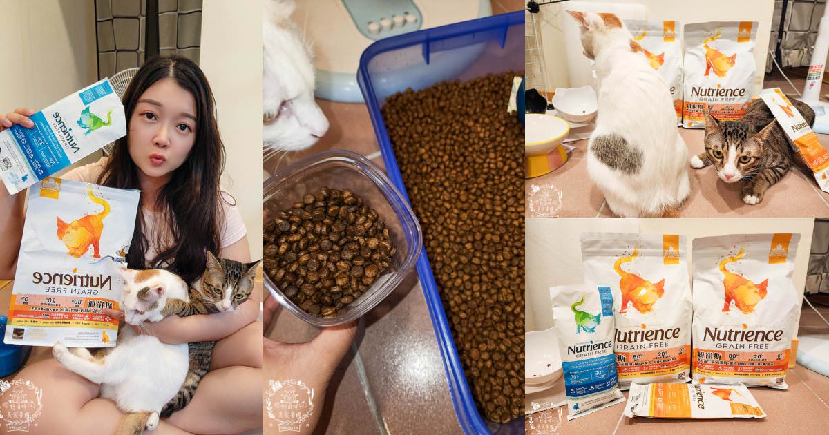 2024飼料推薦八犬寵物Nutrience紐崔斯無穀養生飼料評價!低升糖貓飼料開箱! - 第1張圖 2024飼料推薦八犬寵物Nutrience紐崔斯無穀養生飼料評價!低升糖貓飼料開箱!