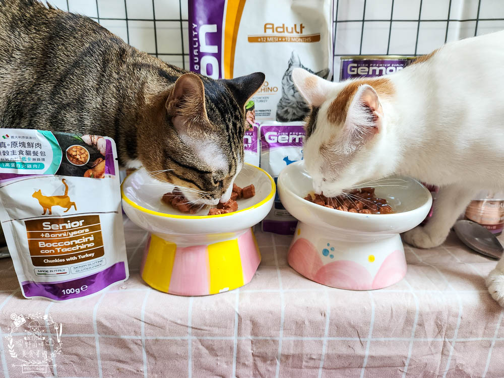 2024寵物糧推薦[品果國際義大利啟蒙寵糧低敏配方寵物飼料開箱]低塩低鎂含量有助保護腎臟功能健康!主食罐與餐包適口性很好!