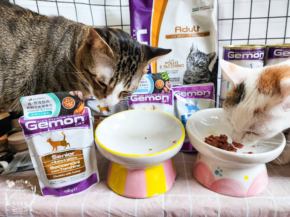 2024寵物糧推薦[品果國際義大利啟蒙寵糧低敏配方寵物飼料開箱]低塩低鎂含量有助保護腎臟功能健康!主食罐與餐包適口性很好!