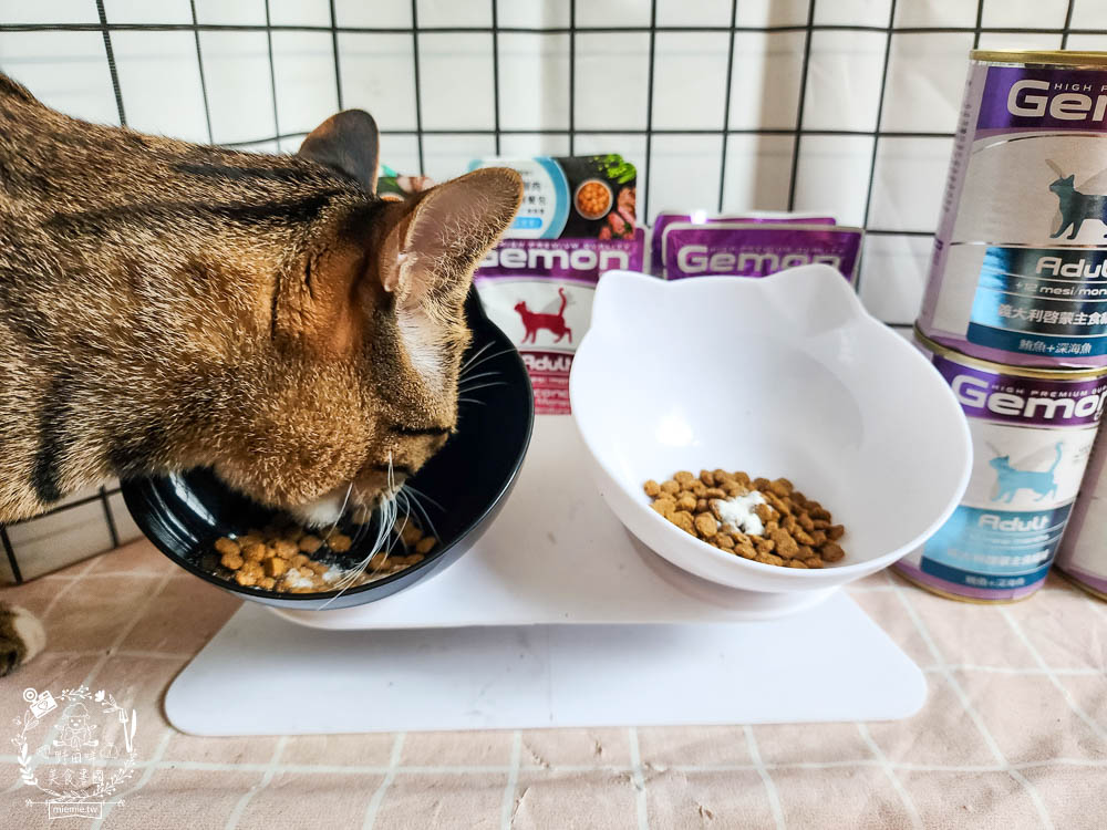 2024寵物糧推薦[品果國際義大利啟蒙寵糧低敏配方寵物飼料開箱]低塩低鎂含量有助保護腎臟功能健康!主食罐與餐包適口性很好!
