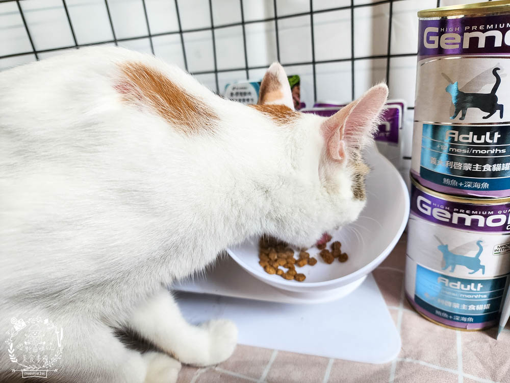 2024寵物糧推薦[品果國際義大利啟蒙寵糧低敏配方寵物飼料開箱]低塩低鎂含量有助保護腎臟功能健康!主食罐與餐包適口性很好!