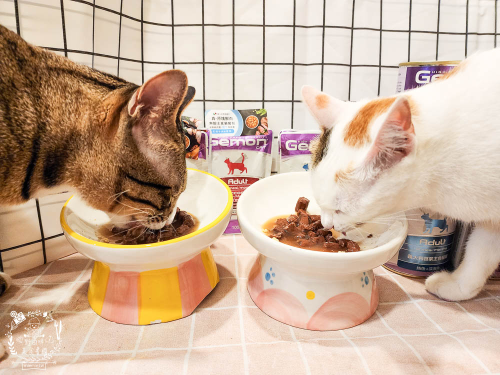 2024寵物糧推薦[品果國際義大利啟蒙寵糧低敏配方寵物飼料開箱]低塩低鎂含量有助保護腎臟功能健康!主食罐與餐包適口性很好!