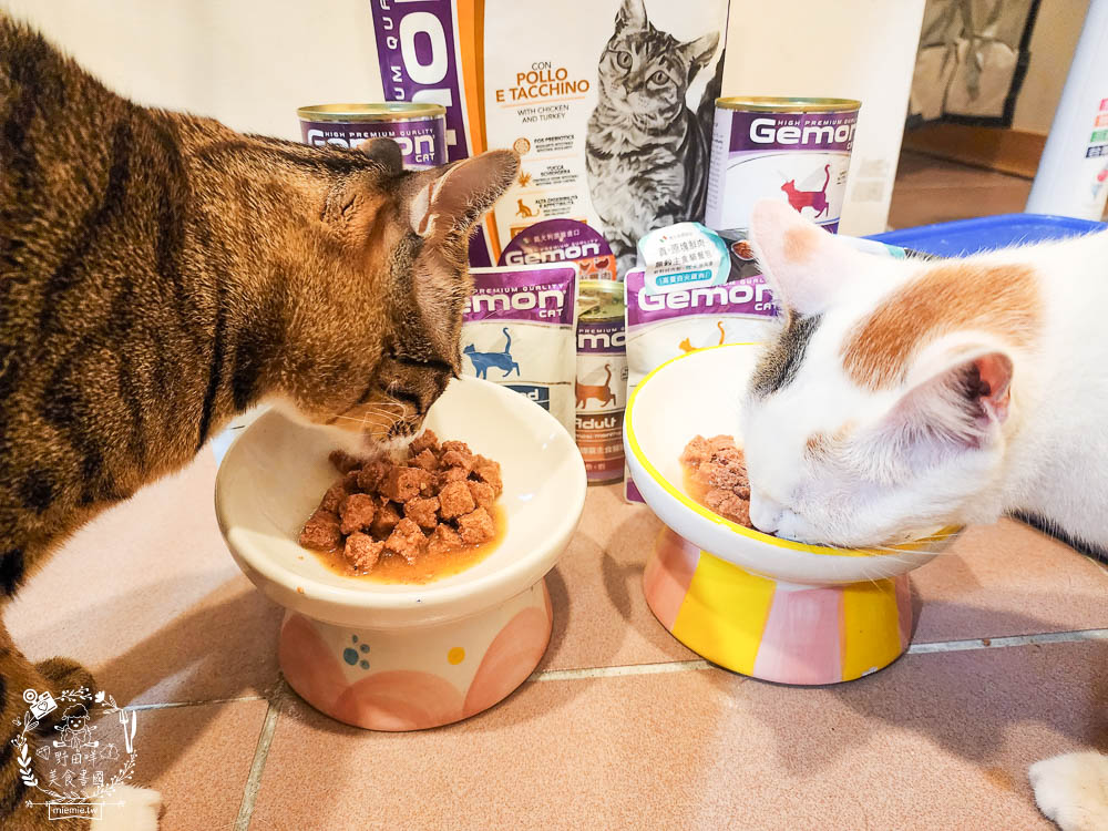 2024寵物糧推薦[品果國際義大利啟蒙寵糧低敏配方寵物飼料開箱]低塩低鎂含量有助保護腎臟功能健康!主食罐與餐包適口性很好!