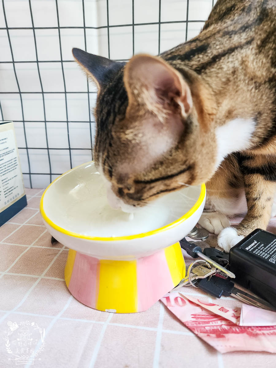 Petype寵物潔牙益生菌與機能羊奶粉|有效維持腸道與口腔健康的多效合一保健品！