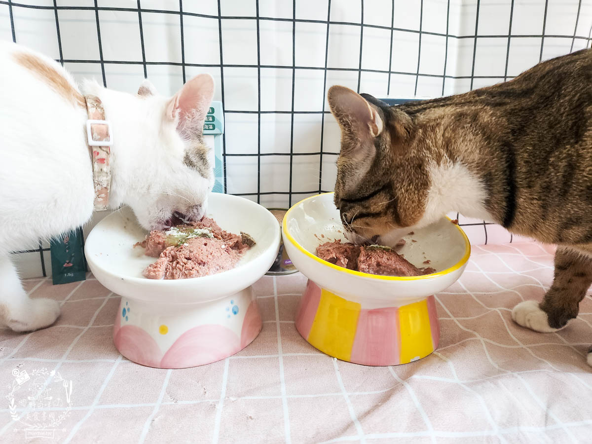 Petype寵物潔牙益生菌與機能羊奶粉|有效維持腸道與口腔健康的多效合一保健品！