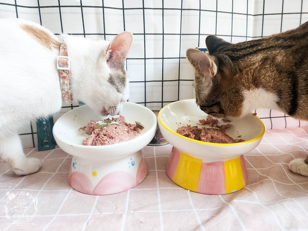 Petype寵物潔牙益生菌與機能羊奶粉|有效維持腸道與口腔健康的多效合一保健品！