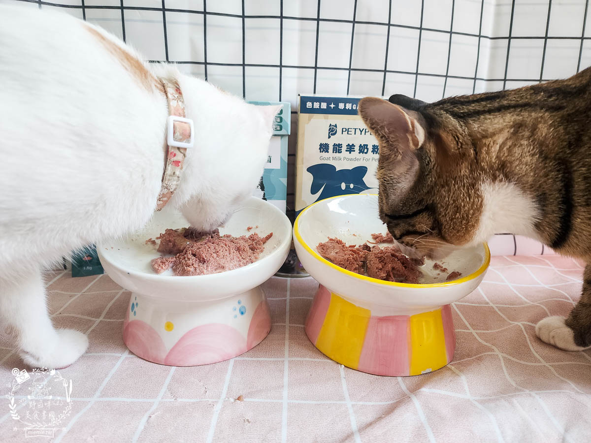 Petype寵物潔牙益生菌與機能羊奶粉|有效維持腸道與口腔健康的多效合一保健品！