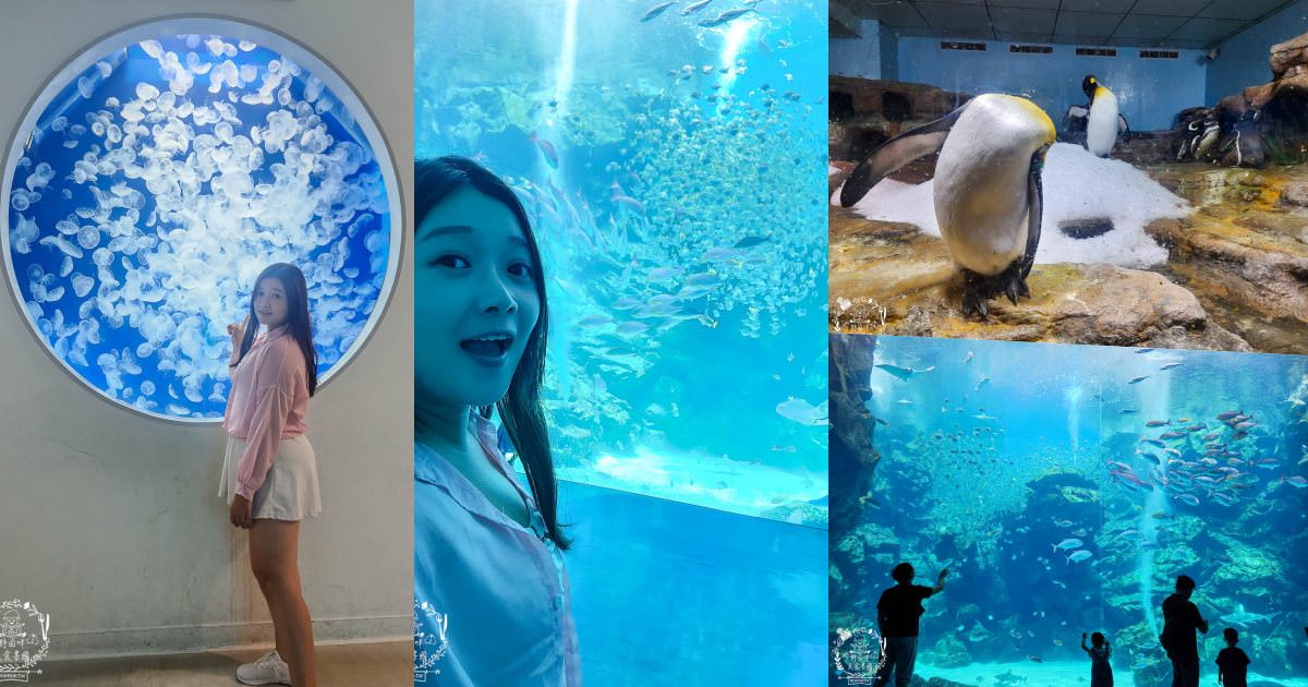 X park桃園水族館