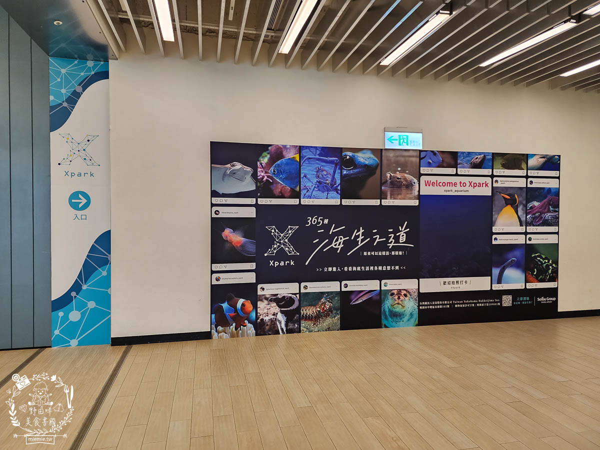 X park桃園水族館推薦|超壯觀絕美的好和水族箱!還有可愛企鵝、海豹、水母與海獅跟老鷹表演? - 第2張圖 X park桃園水族館推薦|超壯觀絕美的好和水族箱!還有可愛企鵝、海豹、水母與海獅跟老鷹表演?