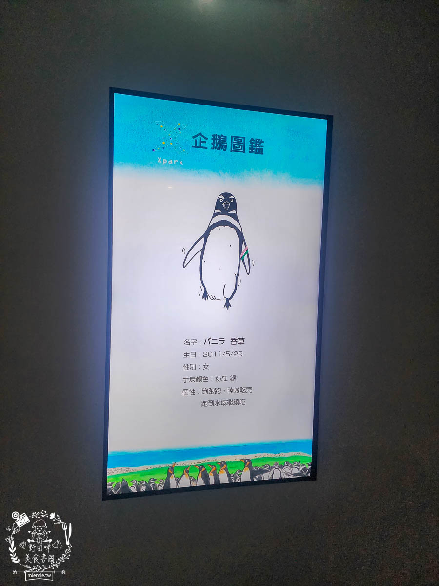 卡娜赫拉彩繪高鐵列車體驗!買高鐵假期送免費住宿?超好玩的Xpark有企鵝水母跟海豹可以玩整天!