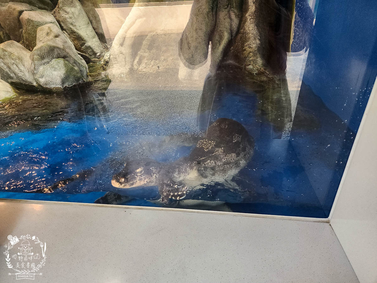 卡娜赫拉彩繪高鐵列車體驗!買高鐵假期送免費住宿?超好玩的Xpark有企鵝水母跟海豹可以玩整天!