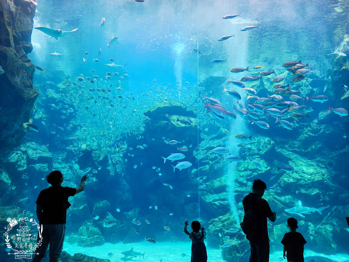 卡娜赫拉彩繪高鐵列車體驗!買高鐵假期送免費住宿?超好玩的Xpark有企鵝水母跟海豹可以玩整天!