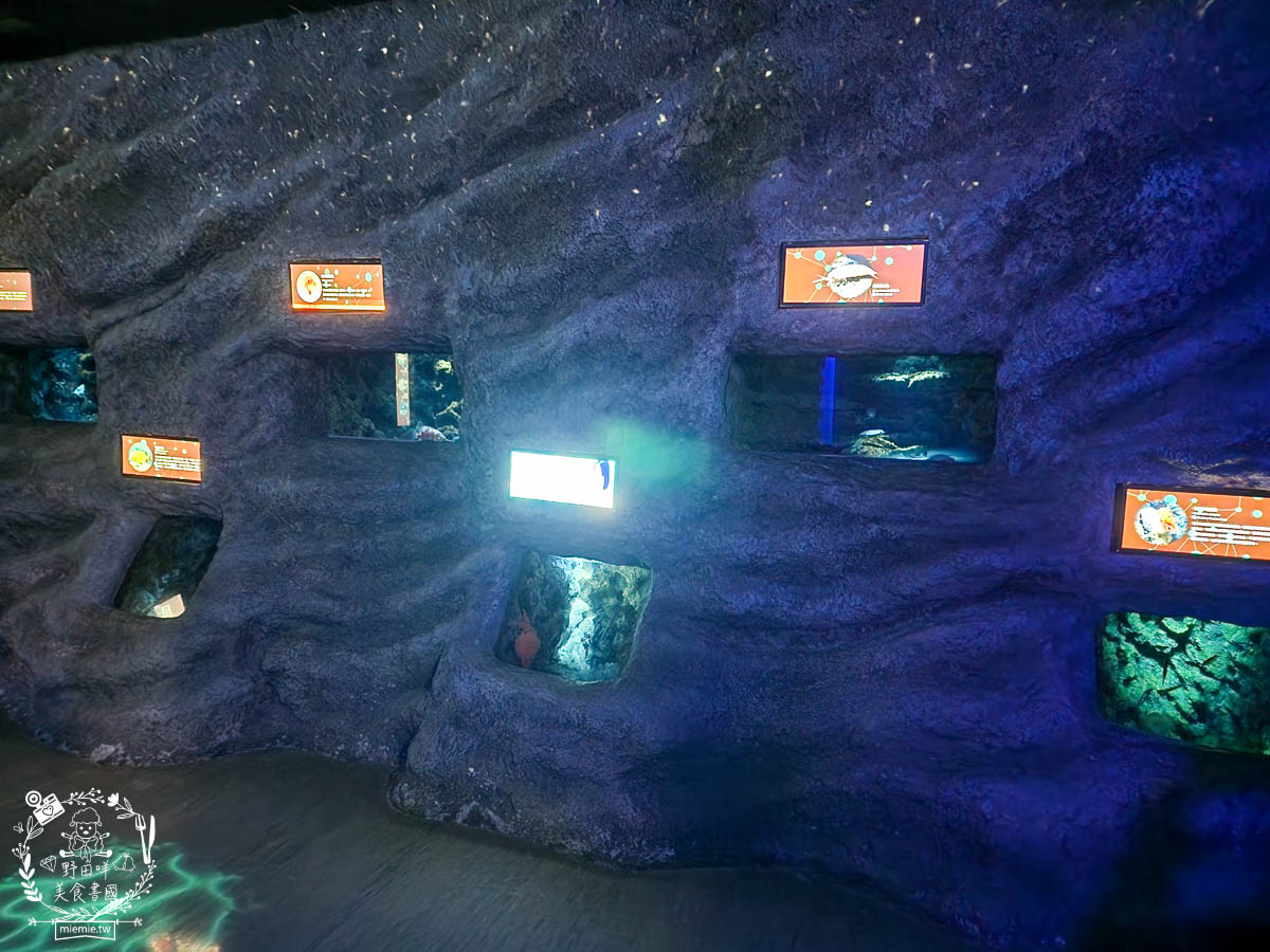 X park桃園水族館推薦|超壯觀絕美的好和水族箱!還有可愛企鵝、海豹、水母與海獅跟老鷹表演? - 第18張圖 X park桃園水族館推薦|超壯觀絕美的好和水族箱!還有可愛企鵝、海豹、水母與海獅跟老鷹表演?