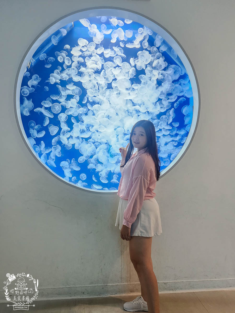 卡娜赫拉彩繪高鐵列車體驗!買高鐵假期送免費住宿?超好玩的Xpark有企鵝水母跟海豹可以玩整天!