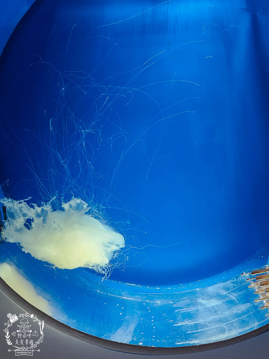 卡娜赫拉彩繪高鐵列車體驗!買高鐵假期送免費住宿?超好玩的Xpark有企鵝水母跟海豹可以玩整天!