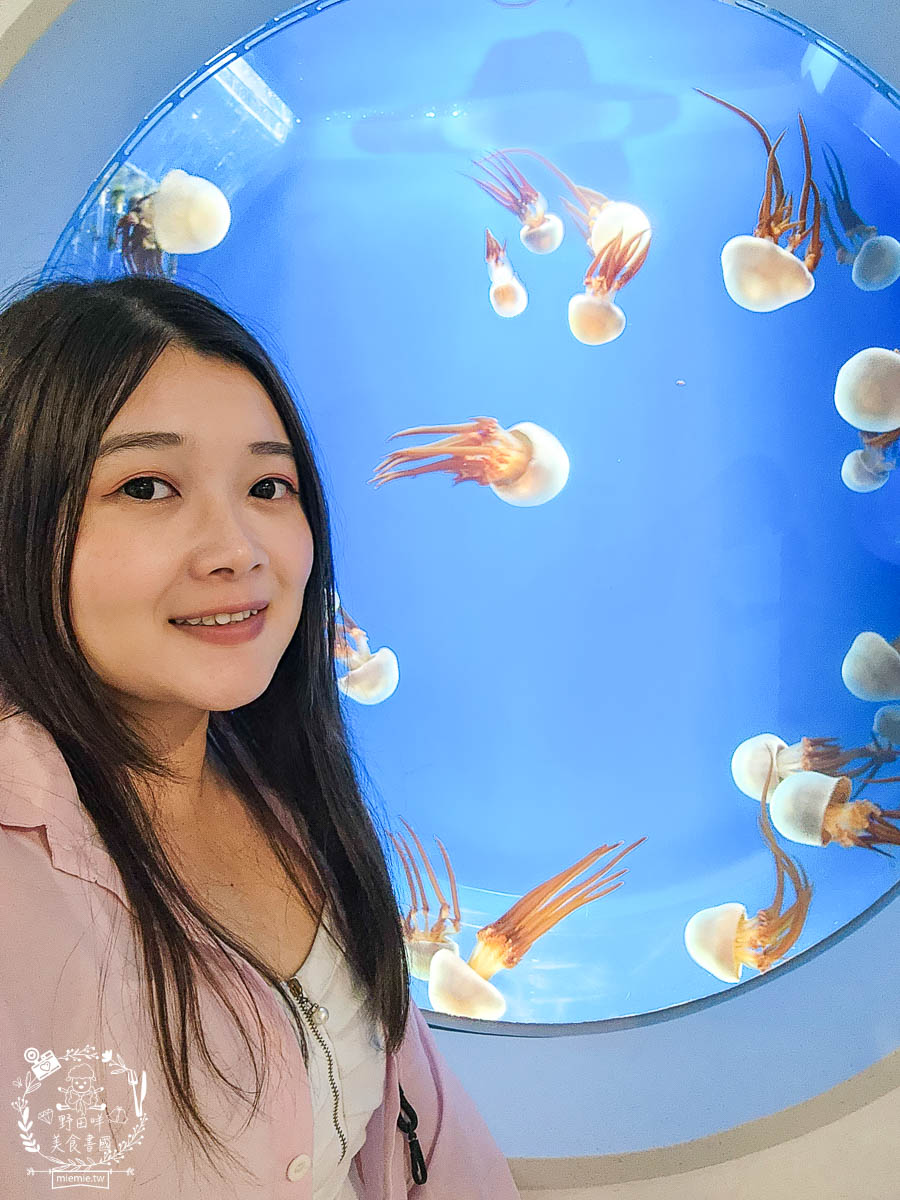 卡娜赫拉彩繪高鐵列車體驗!買高鐵假期送免費住宿?超好玩的Xpark有企鵝水母跟海豹可以玩整天!