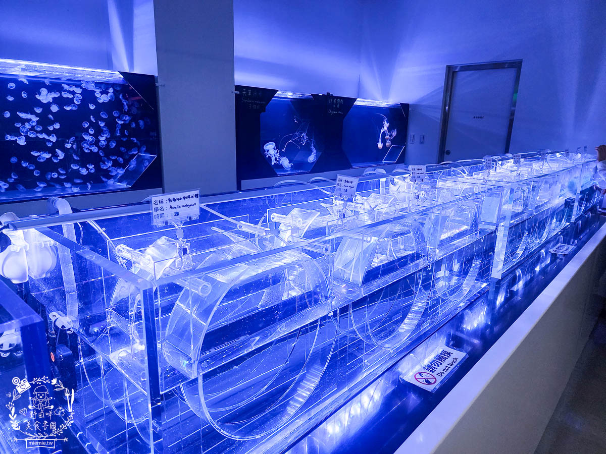 卡娜赫拉彩繪高鐵列車體驗!買高鐵假期送免費住宿?超好玩的Xpark有企鵝水母跟海豹可以玩整天!