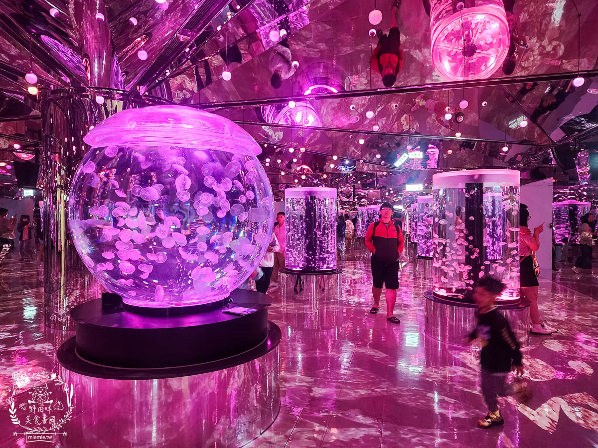 卡娜赫拉彩繪高鐵列車體驗!買高鐵假期送免費住宿?超好玩的Xpark有企鵝水母跟海豹可以玩整天!