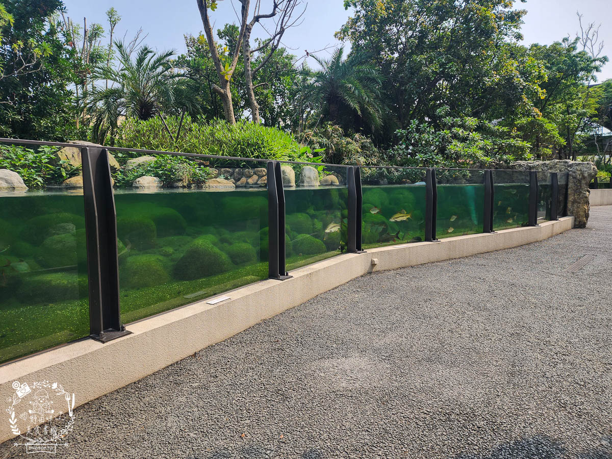 Xpark桃園水族館推薦 115