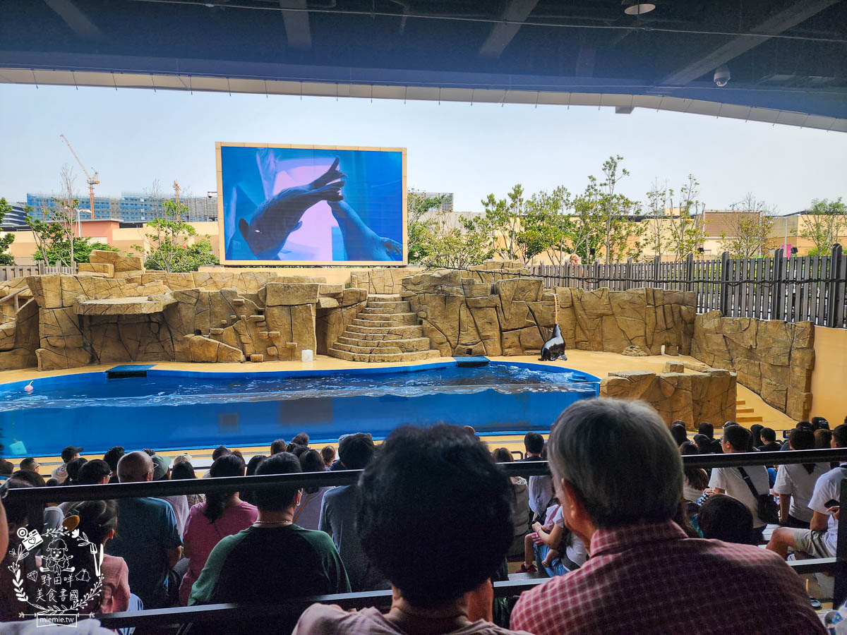 Xpark桃園水族館推薦 125