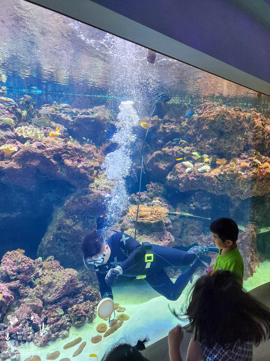 Xpark桃園水族館推薦 32