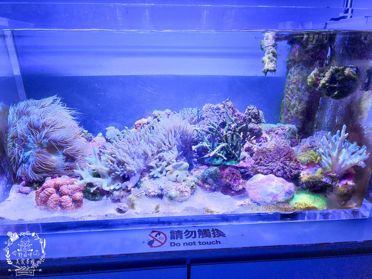 Xpark桃園水族館推薦 36