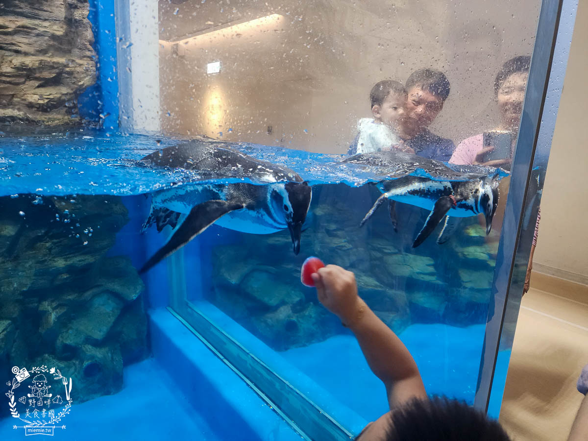 Xpark桃園水族館推薦 96