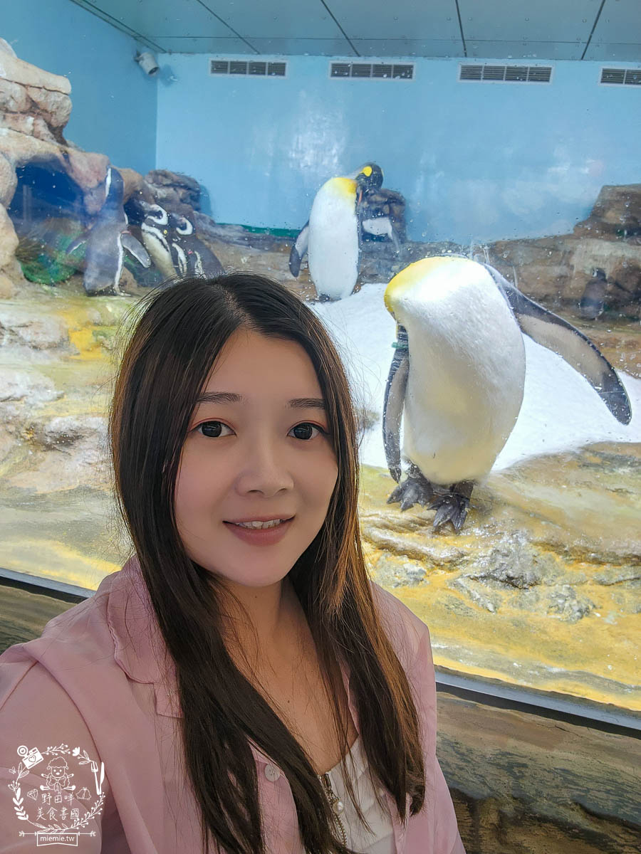 Xpark桃園水族館推薦 99