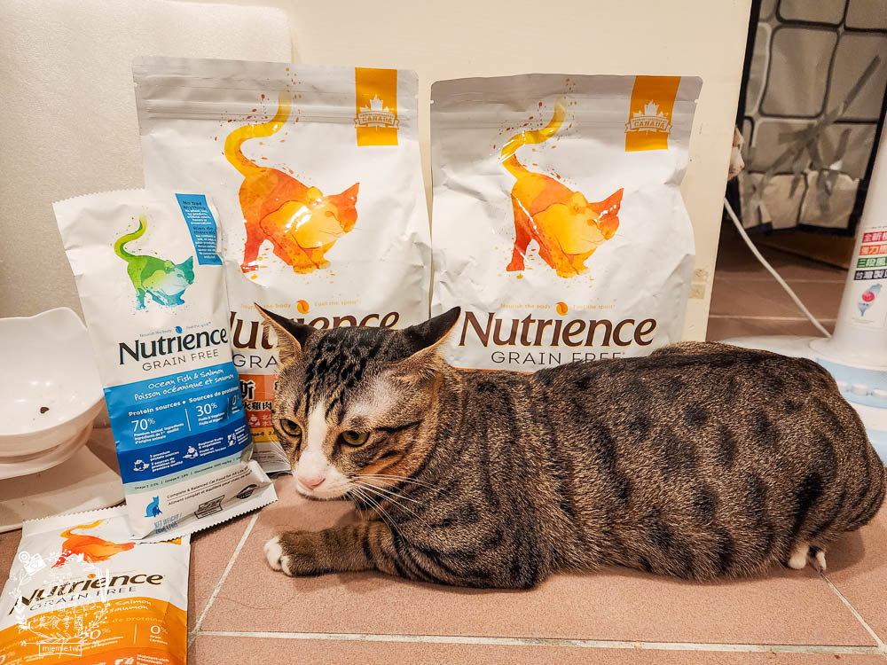 八犬寵物Nutrience紐崔斯無穀養生飼料評價 2