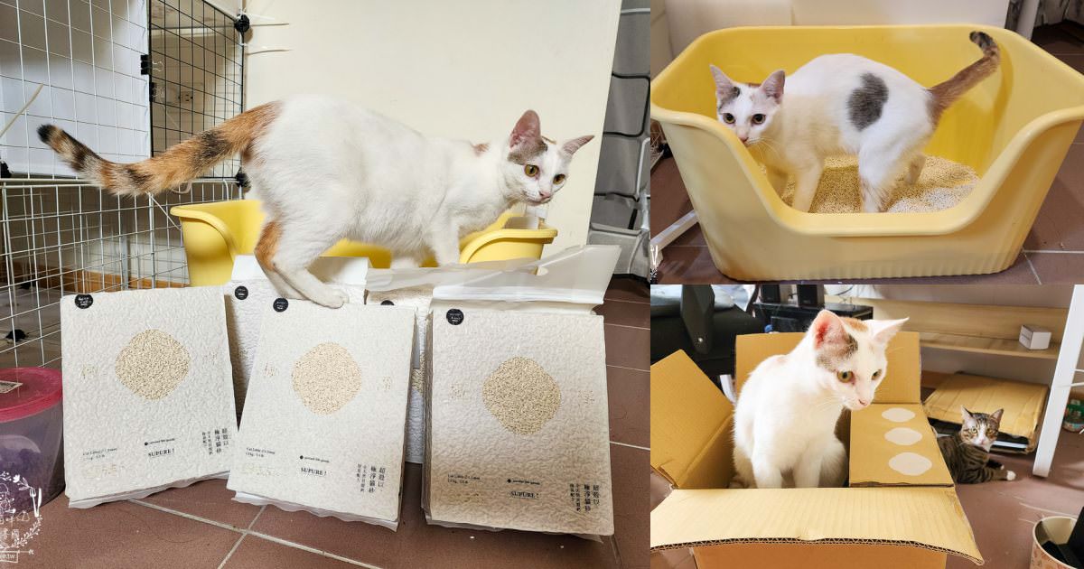 喵皇奴SUPURE超殼以條型豆腐砂|凝結力超強又超除臭的貓咪豆腐砂推薦!超強貓咪豆腐砂推薦！