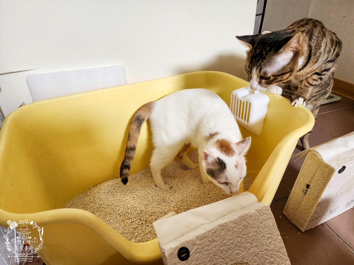 喵皇奴SUPURE超殼以條型豆腐砂|凝結力超強又超除臭的貓咪豆腐砂推薦!超強貓咪豆腐砂推薦！