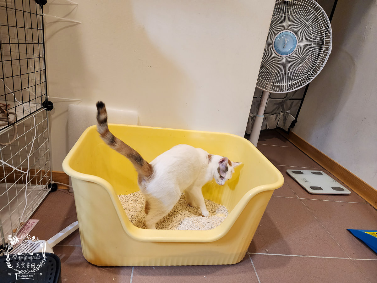 喵皇奴SUPURE超殼以條型豆腐砂|凝結力超強又超除臭的貓咪豆腐砂推薦!超強貓咪豆腐砂推薦！