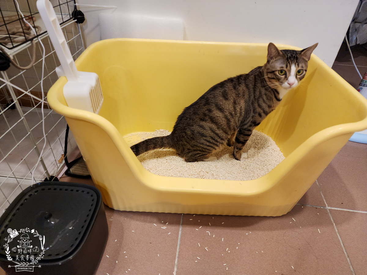 喵皇奴SUPURE超殼以條型豆腐砂|凝結力超強又超除臭的貓咪豆腐砂推薦!超強貓咪豆腐砂推薦！