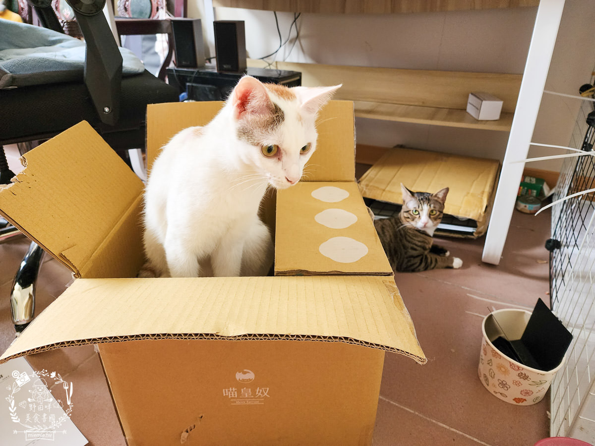 喵皇奴SUPURE超殼以條型豆腐砂|凝結力超強又超除臭的貓咪豆腐砂推薦!超強貓咪豆腐砂推薦！