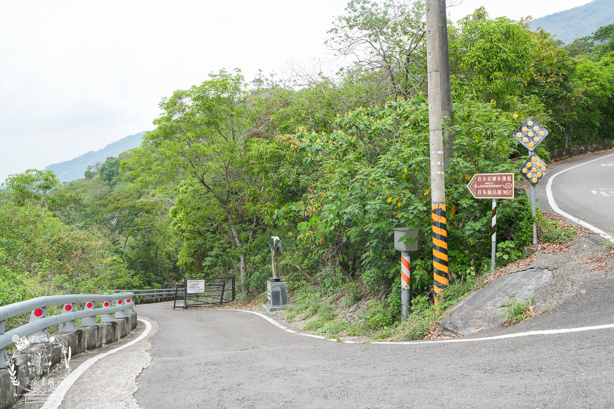 高雄茂林景點推薦!高雄版的萬里長城?超多好玩吊橋適合親子踏青!體驗原住民部落風情~