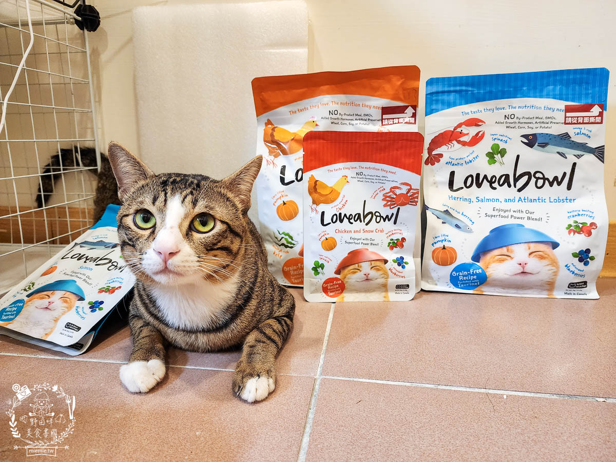 天然無穀寵糧推薦[Loveabowl囍碗海陸饗宴無穀飼料]適口性超好還有Omega 3與益生菌的營養補充