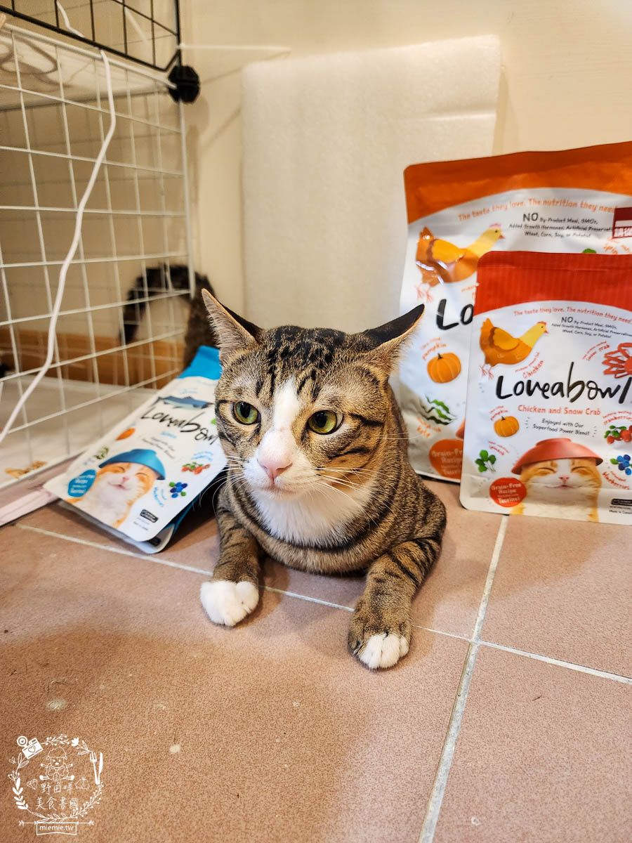 天然無穀寵糧推薦[Loveabowl囍碗海陸饗宴無穀飼料]適口性超好還有Omega 3與益生菌的營養補充
