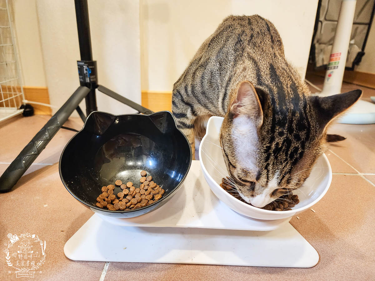 天然無穀寵糧推薦[Loveabowl囍碗海陸饗宴無穀飼料]適口性超好還有Omega 3與益生菌的營養補充