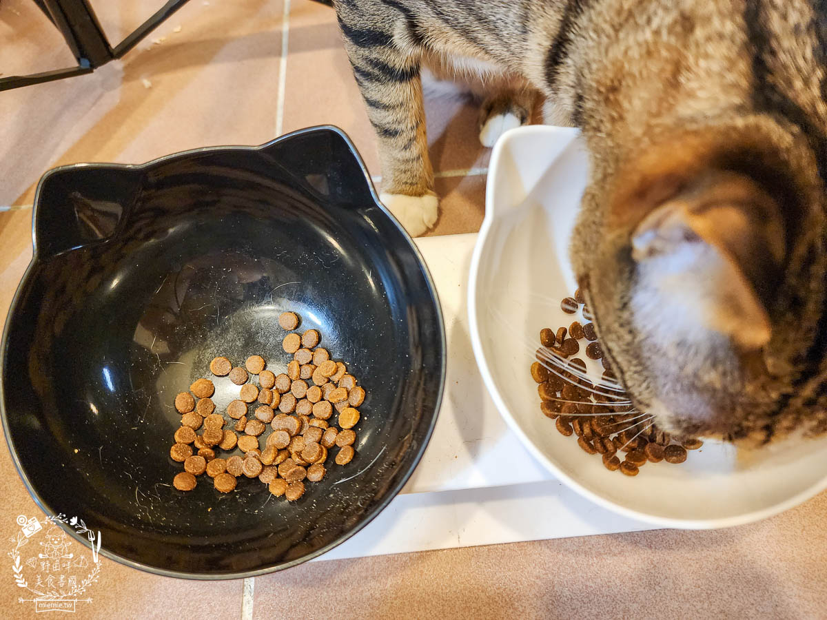 天然無穀寵糧推薦[Loveabowl囍碗海陸饗宴無穀飼料]適口性超好還有Omega 3與益生菌的營養補充