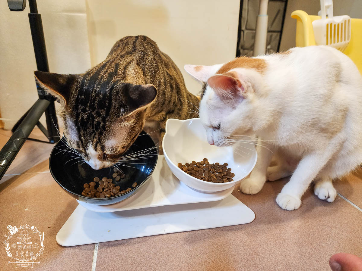天然無穀寵糧推薦[Loveabowl囍碗海陸饗宴無穀飼料]適口性超好還有Omega 3與益生菌的營養補充