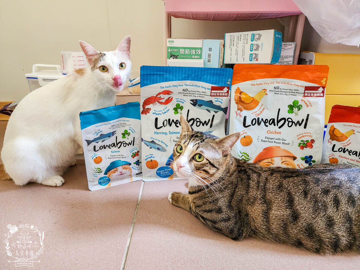 天然無穀寵糧推薦[Loveabowl囍碗海陸饗宴無穀飼料]適口性超好還有Omega 3與益生菌的營養補充