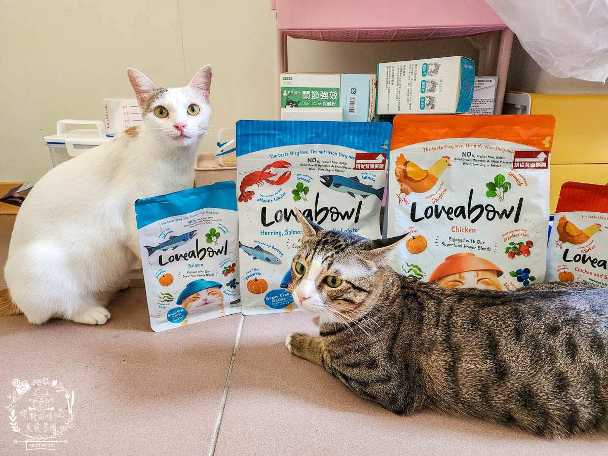 天然無穀寵糧推薦[Loveabowl囍碗海陸饗宴無穀飼料]適口性超好還有Omega 3與益生菌的營養補充