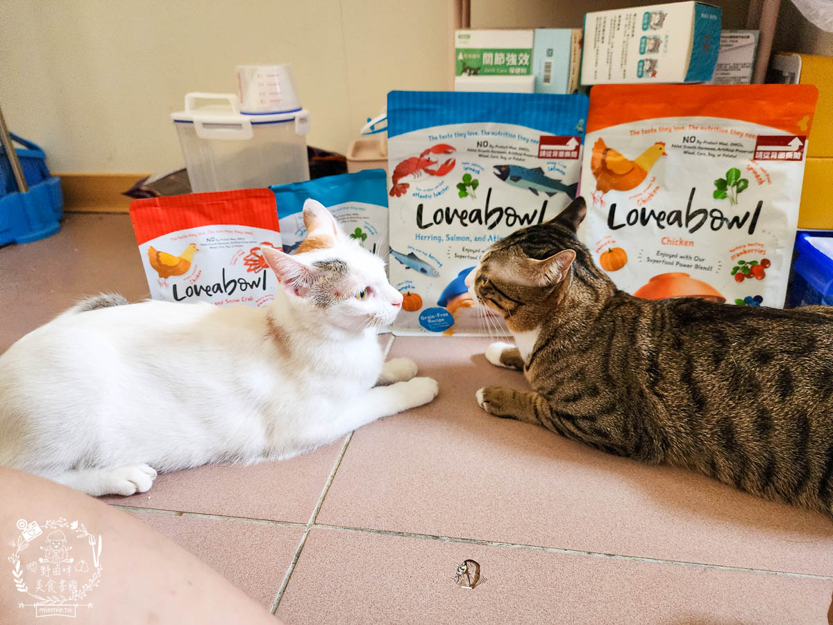 天然無穀寵糧推薦[Loveabowl囍碗海陸饗宴無穀飼料]適口性超好還有Omega 3與益生菌的營養補充