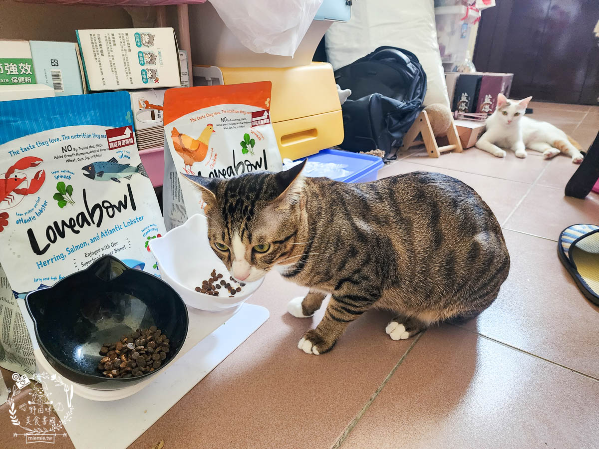 天然無穀寵糧推薦[Loveabowl囍碗海陸饗宴無穀飼料]適口性超好還有Omega 3與益生菌的營養補充