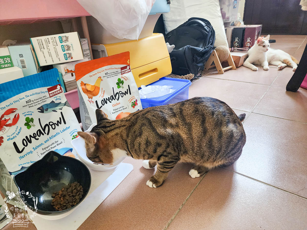 天然無穀寵糧推薦[Loveabowl囍碗海陸饗宴無穀飼料]適口性超好還有Omega 3與益生菌的營養補充