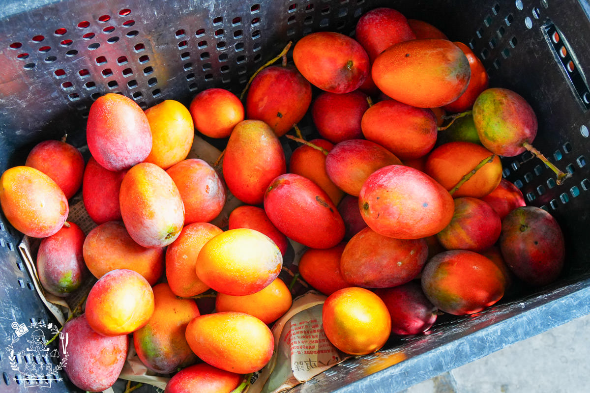 高雄水果商推薦[丞霆國際貿易有限公司]台灣超強的農守人玉荷包香腸!高雄當季水果超便宜!
