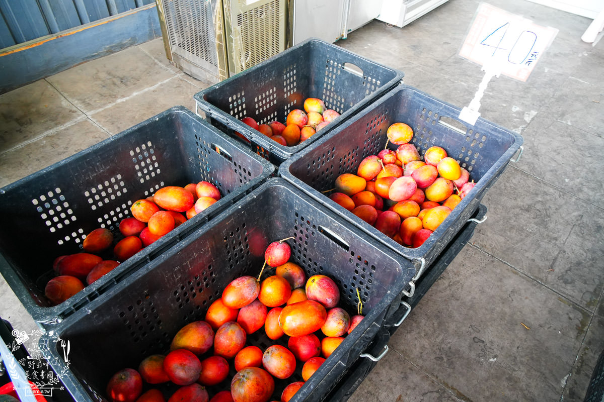 高雄水果商推薦[丞霆國際貿易有限公司]台灣超強的農守人玉荷包香腸!高雄當季水果超便宜!