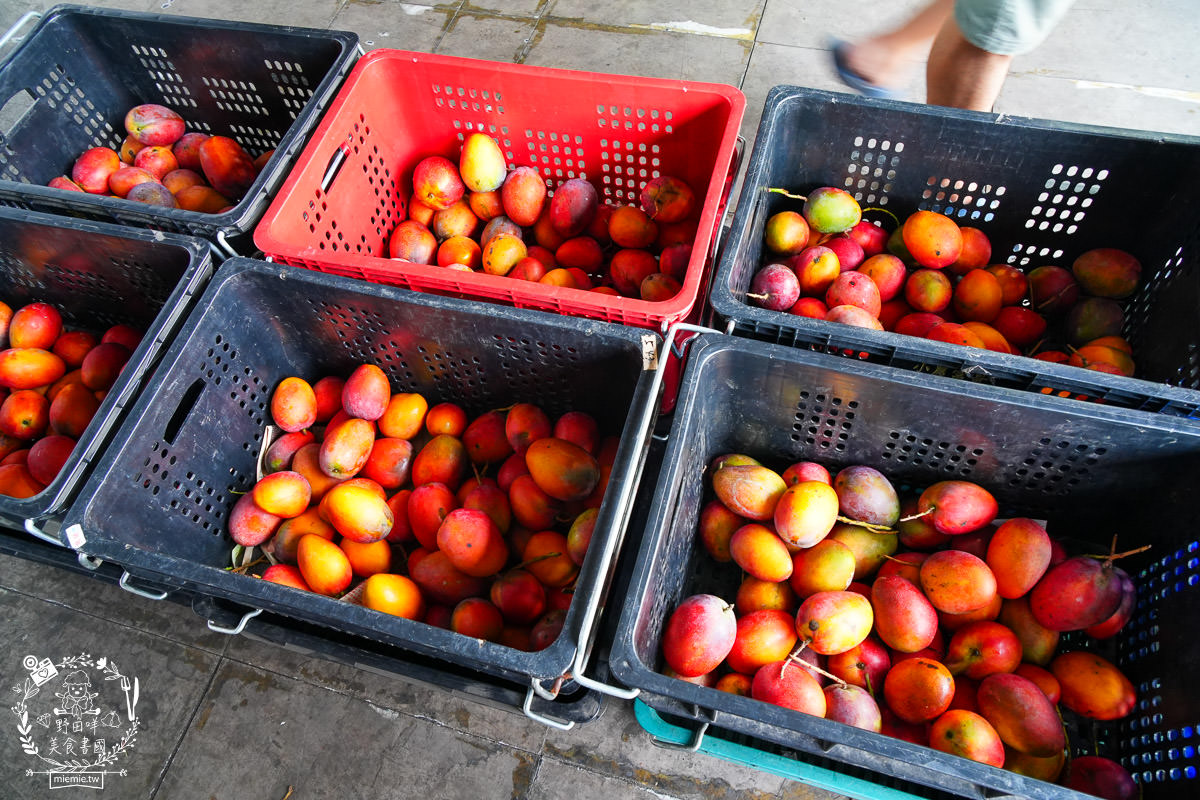 高雄水果商推薦[丞霆國際貿易有限公司]台灣超強的農守人玉荷包香腸!高雄當季水果超便宜!