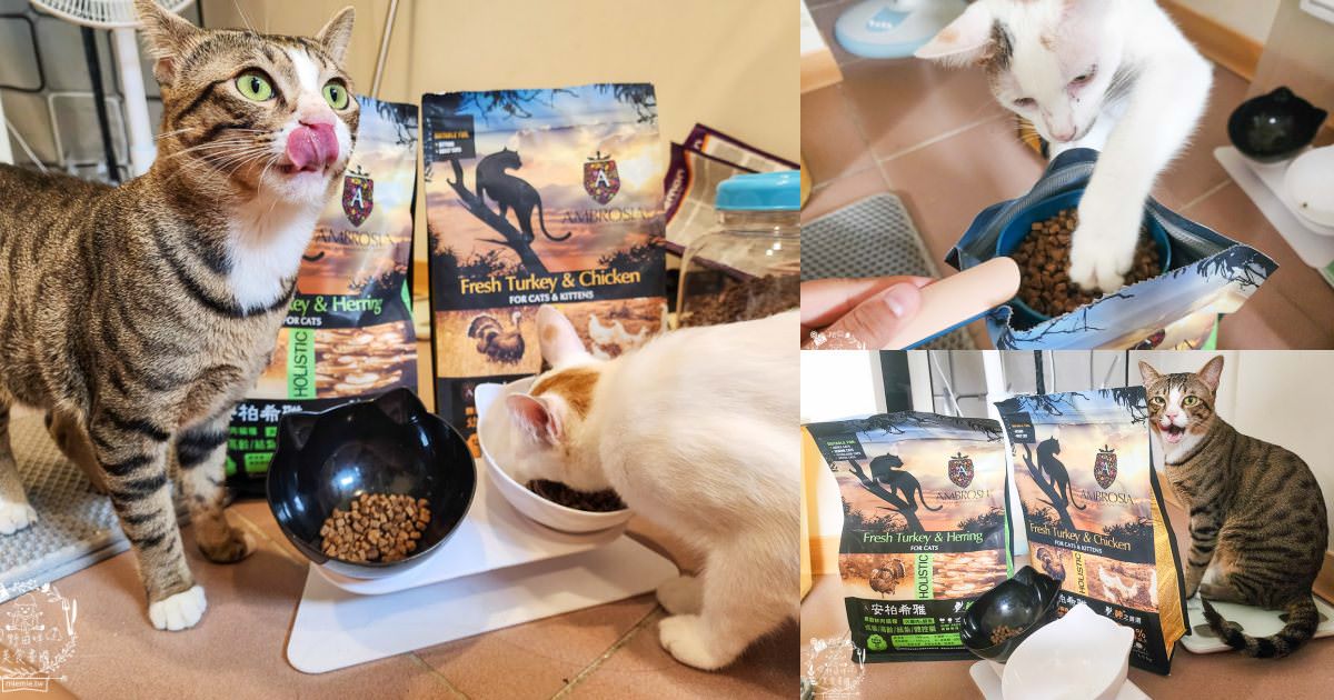 2024飼料推薦[王品寵物安柏希雅飼料評價]適口性極高的低敏無穀飼料貓糧推薦!